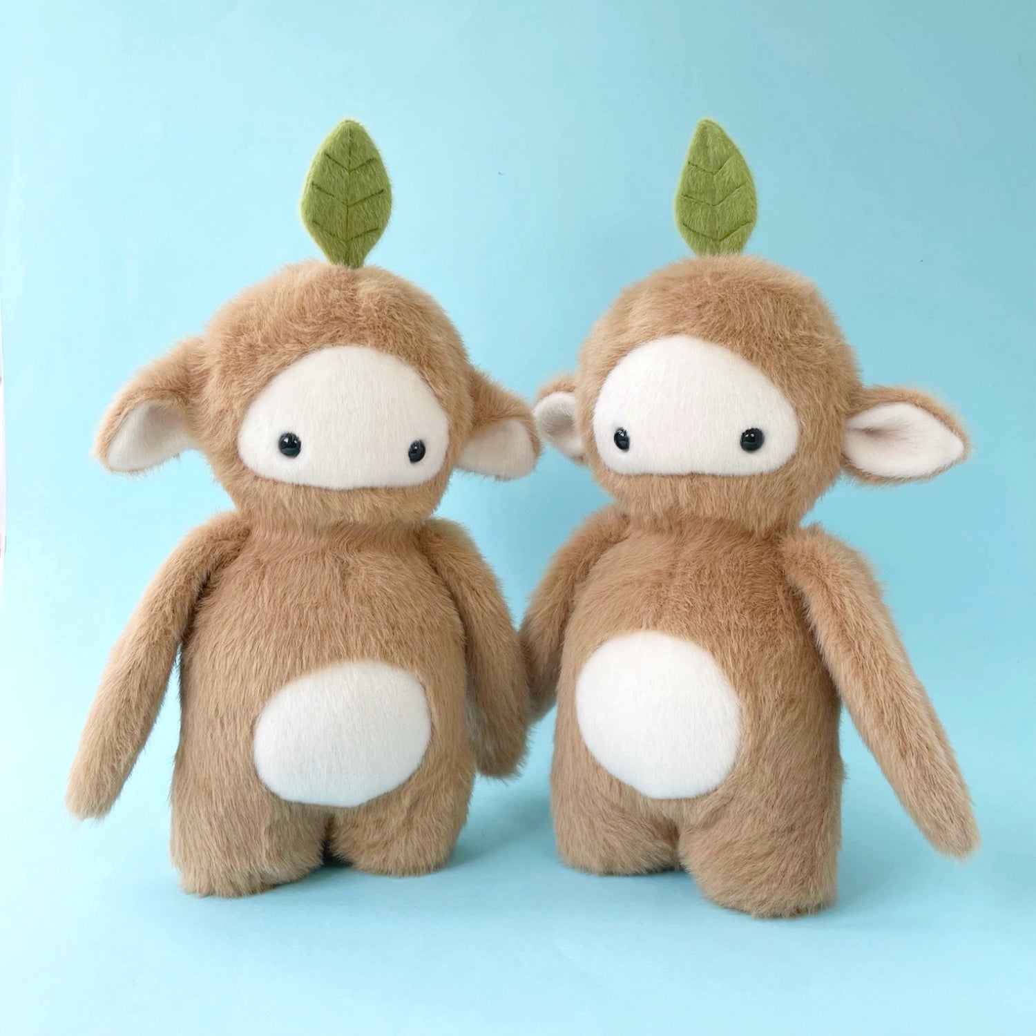 Furry Seedlings