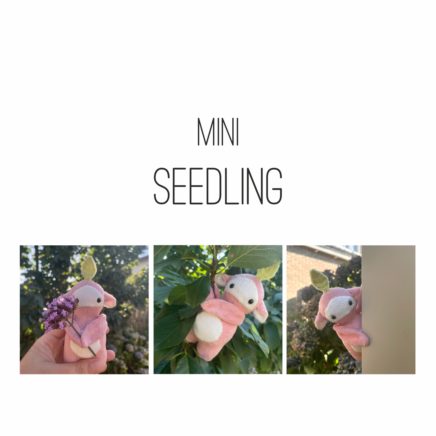 Mini Seedling