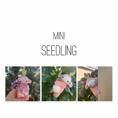Mini Seedling